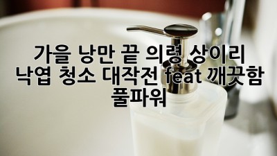 가을 낭만🍂 끝! 의령 상이리 낙엽 청소 대작전🧹✨ (feat. 깨끗함 풀파워💪)